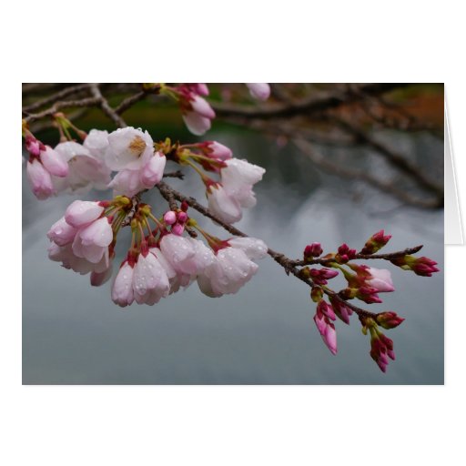 Image of Green Earth