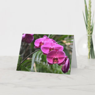 Green Earth, card