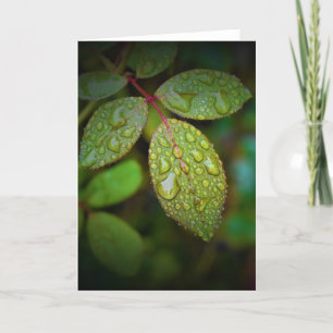 Green Earth, card
