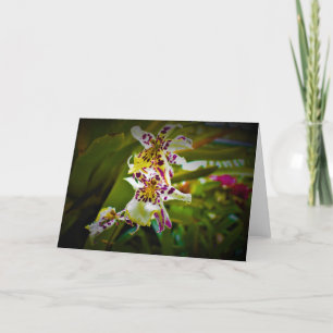 Green Earth, card