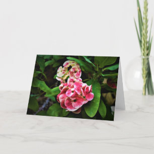 Green Earth, card