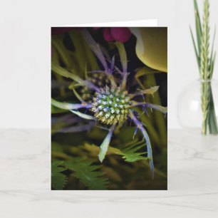 Green Earth, card