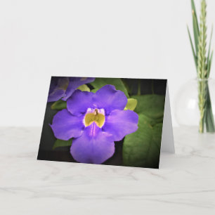 Green Earth, card