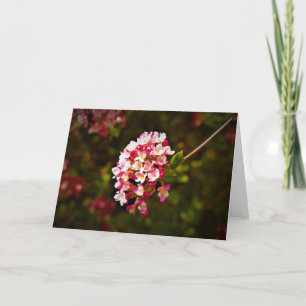 Green Earth, card