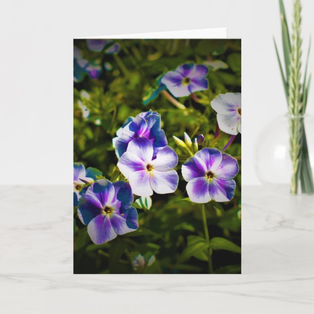 Green Earth, card (Front)