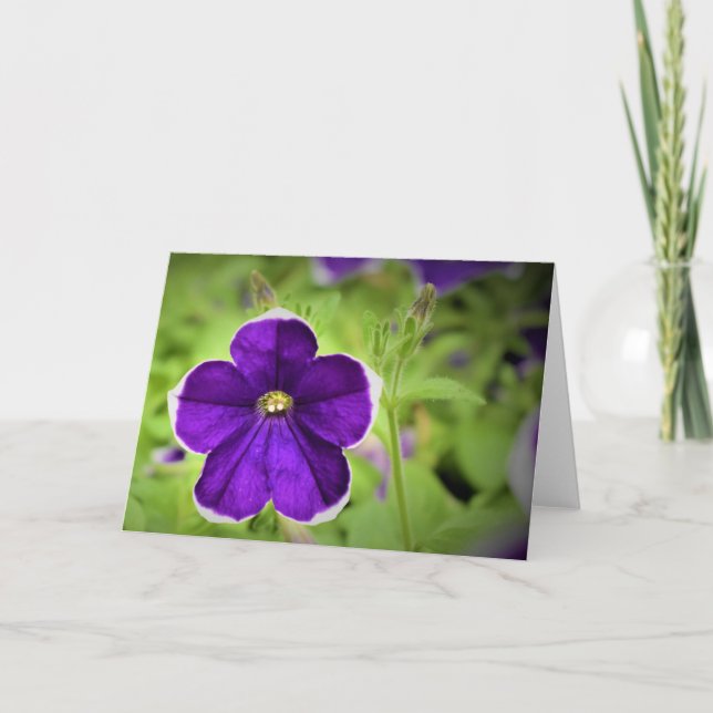 Green Earth, card (Front)