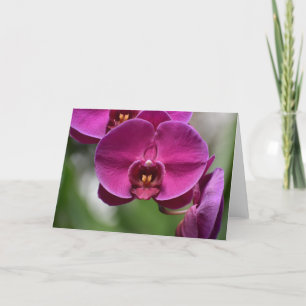 Green Earth, card