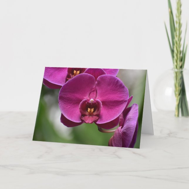 Green Earth, card (Front)