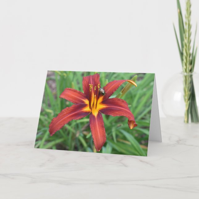 Green Earth Card (Front)