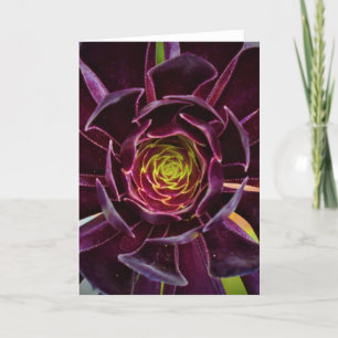 Green Earth, card