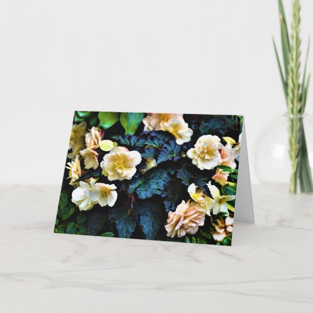 Green Earth, card (Front)