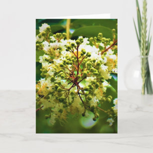 Green Earth, card