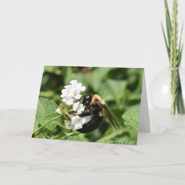 Green Earth Card (Front)