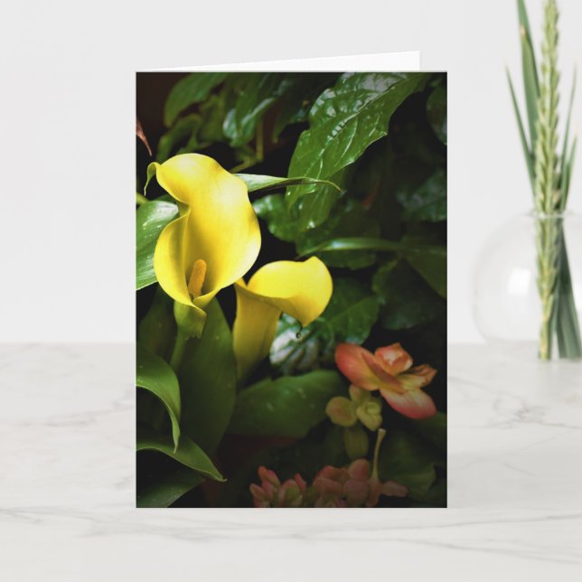 Green Earth, card (Front)