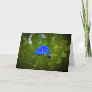 Green Earth, card