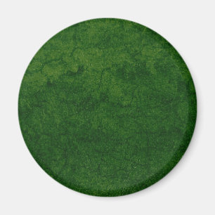 Green Earth Magnet