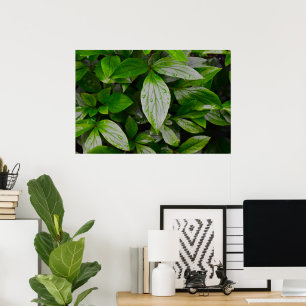 Green Earth, Poster