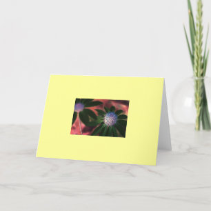 "Green Echinacea #1" Card