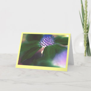 "Green Echinacea" Card