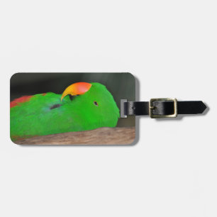 Green eclectic parrot luggage tag