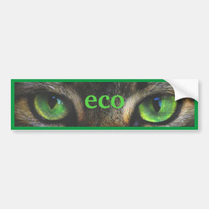 Green eco cat eyes bumper sticker