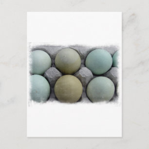 Green Eggs Postcard