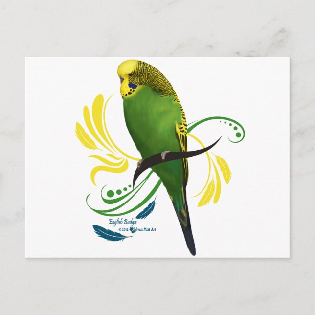 Green English Budgie Postcard (Front)