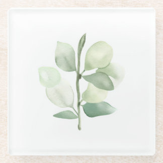 Green Eucalyptus Leaves, delicate pastel decor Glass Coaster