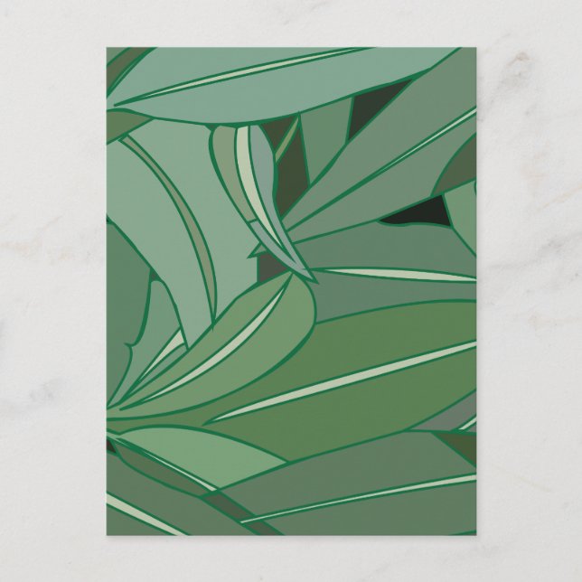 Green Eucalyptus Leaves  Postcard (Front)