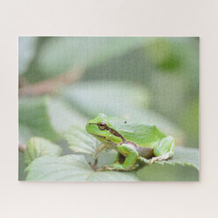 Green European tree frog close up Jigsaw Puzzle
