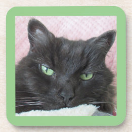 Green Eyed Black Cat Coaster