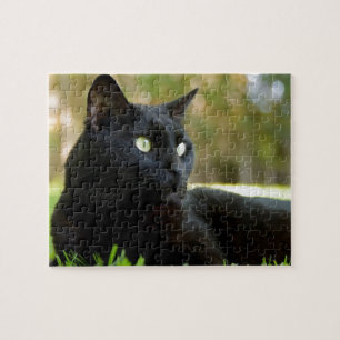 Green Eyed Black Cat Enjoying the Outdoors Jigsaw Puzzle