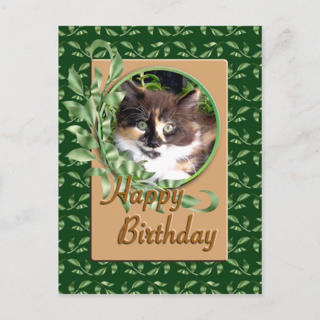 Green Eyed Calico Kitten Birthday Postcard (Front)