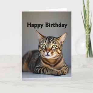 Green Eyed Cat Birthday Card