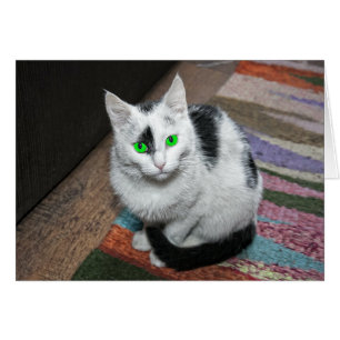 Green Eyed Cat Greeting Card