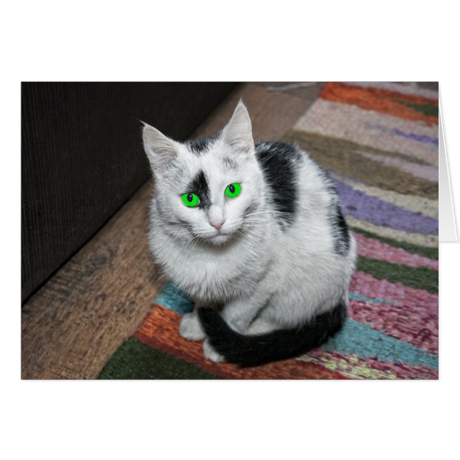 Green Eyed Cat Greeting Card (Front Horizontal)