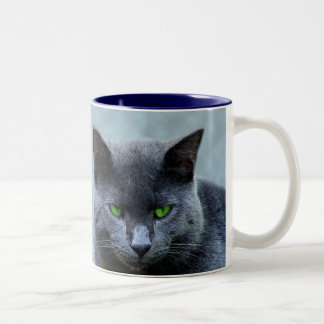 Green Eyed Cat Mug