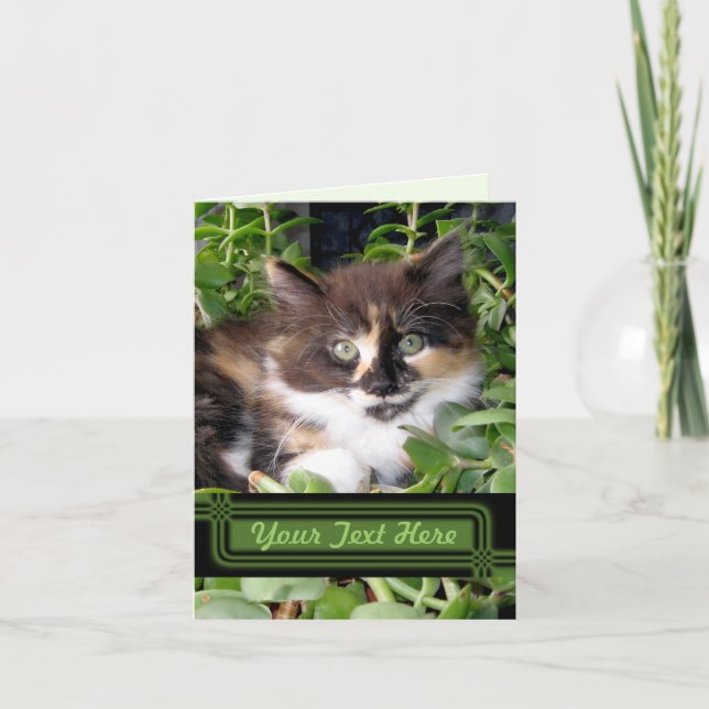 Green Eyed Cat Note Card (Front)