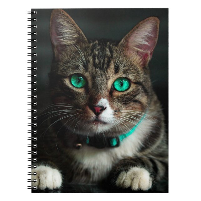 Green Eyed Cat Notebook (Front)