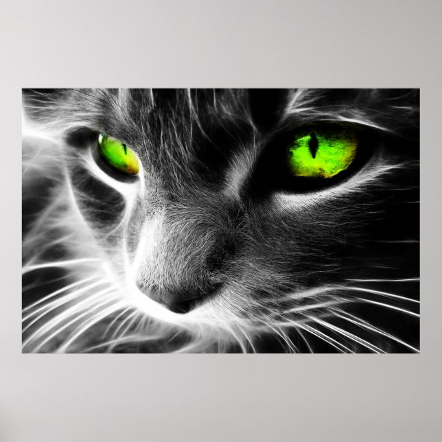 Green Eyed Cat Up Close Print (Front)