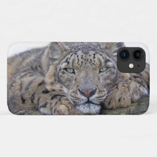 Green-Eyed Gaze iPhone 11 Case