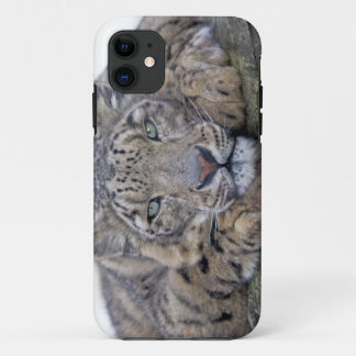 Green-Eyed Gaze iPhone 5 Case-Mate Case