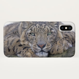 Green-Eyed Gaze iPhone X Case