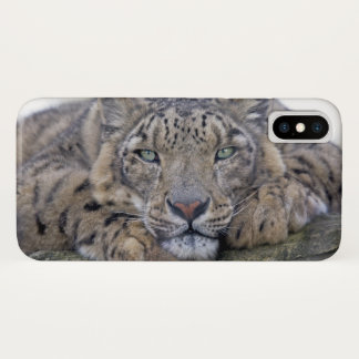Green-Eyed Gaze iPhone X Case