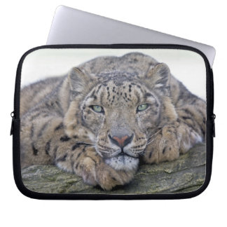 Green-Eyed Gaze Laptop Sleeve