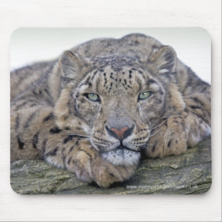 Green-Eyed Gaze Mousemat