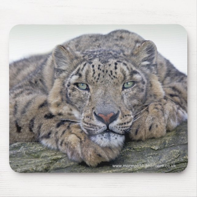 Green-Eyed Gaze Mousemat (Front)
