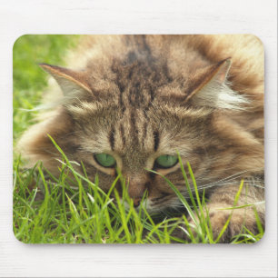Green Eyed Hunter Mouse Mat