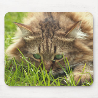 Green Eyed Hunter Mouse Mat