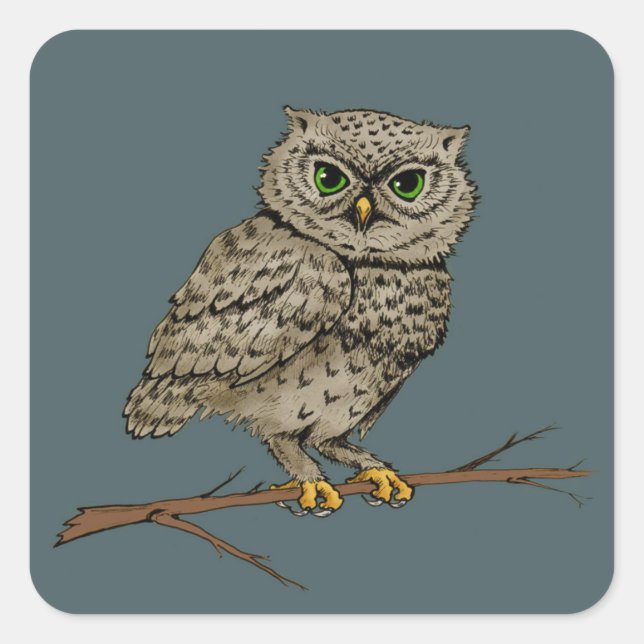 Green eyed owl square sticker (Front)